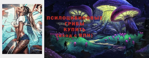 мяу мяу мука Елизово