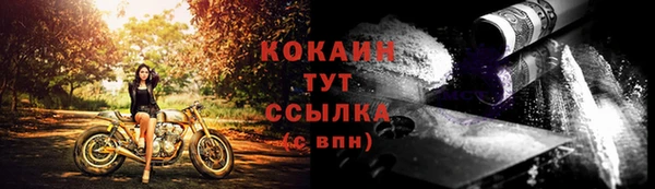 мяу мяу мука Елизово