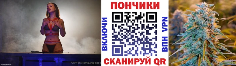 Каннабис SATIVA & INDICA  Пересвет 